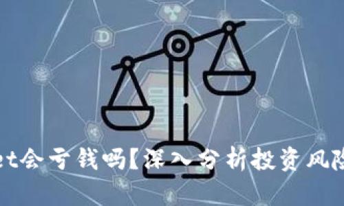 tpWallet会亏钱吗？深入分析投资风险与收益