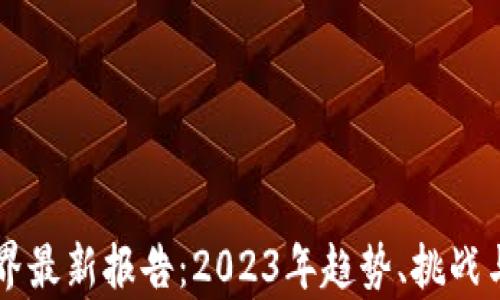
区块链世界最新报告：2023年趋势、挑战与机遇分析