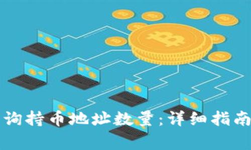 tpWallet如何查询持币地址数量：详细指南与常见问题解答